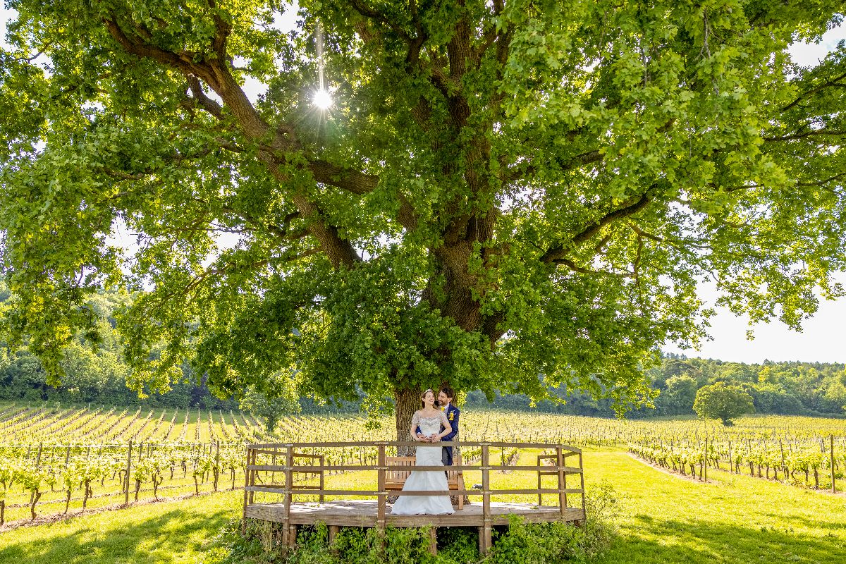 Gallery Item 5 for Denbies Wine Estate