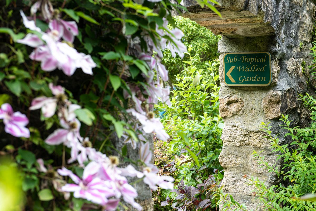 Gallery Item 2 for Tregenna Castle Hotel