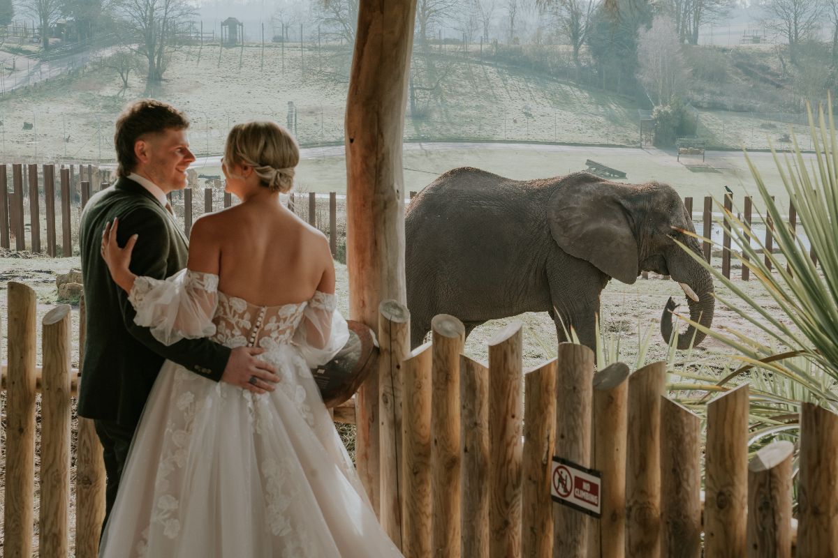 Gallery Item 2 for Safari Venues - West Midland Safari Park