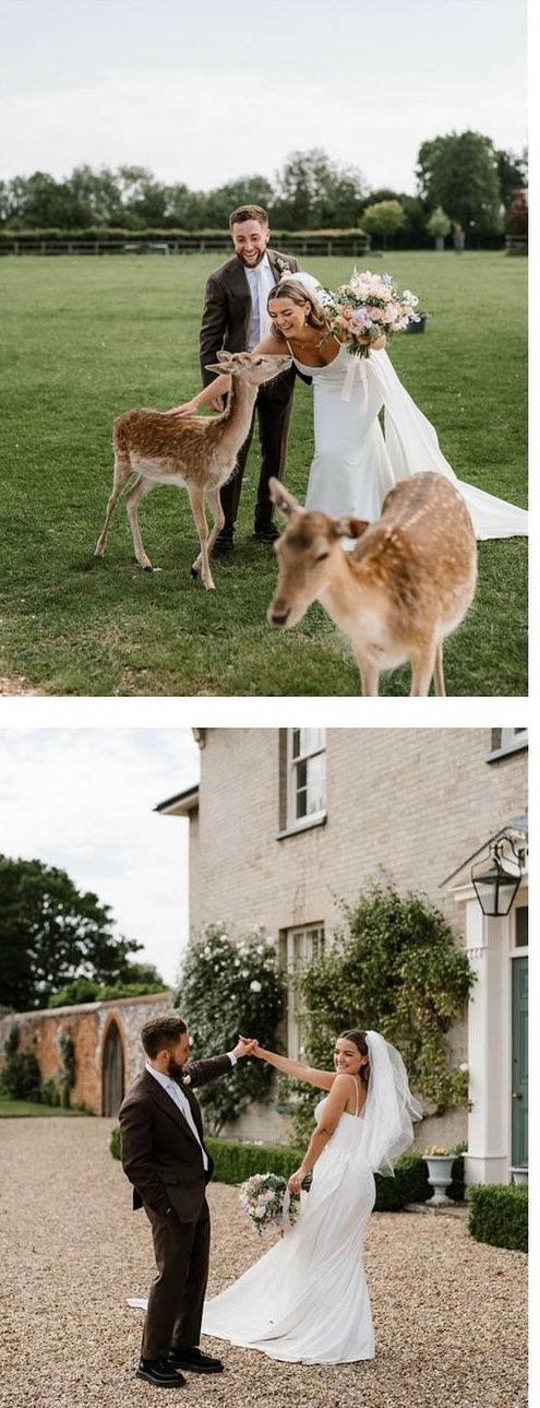 Gallery Item 2 for Hill Farm Massingham