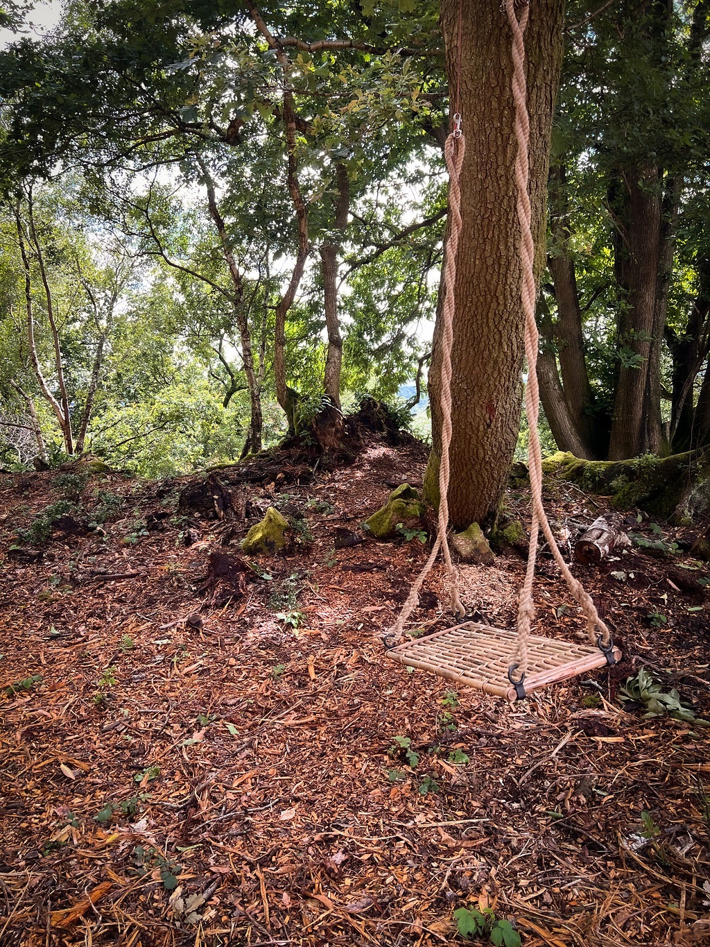 Gallery Item 8 for Hillfort Woodland Weddings